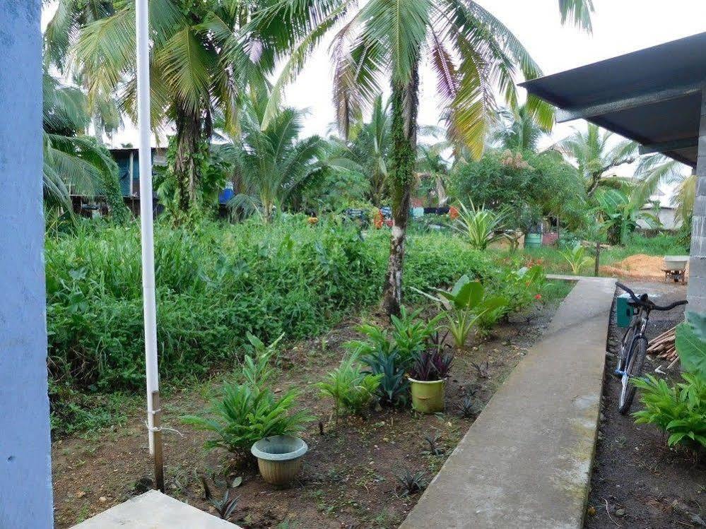 Valerie Emanuel Apartments Bocas Town Exterior foto